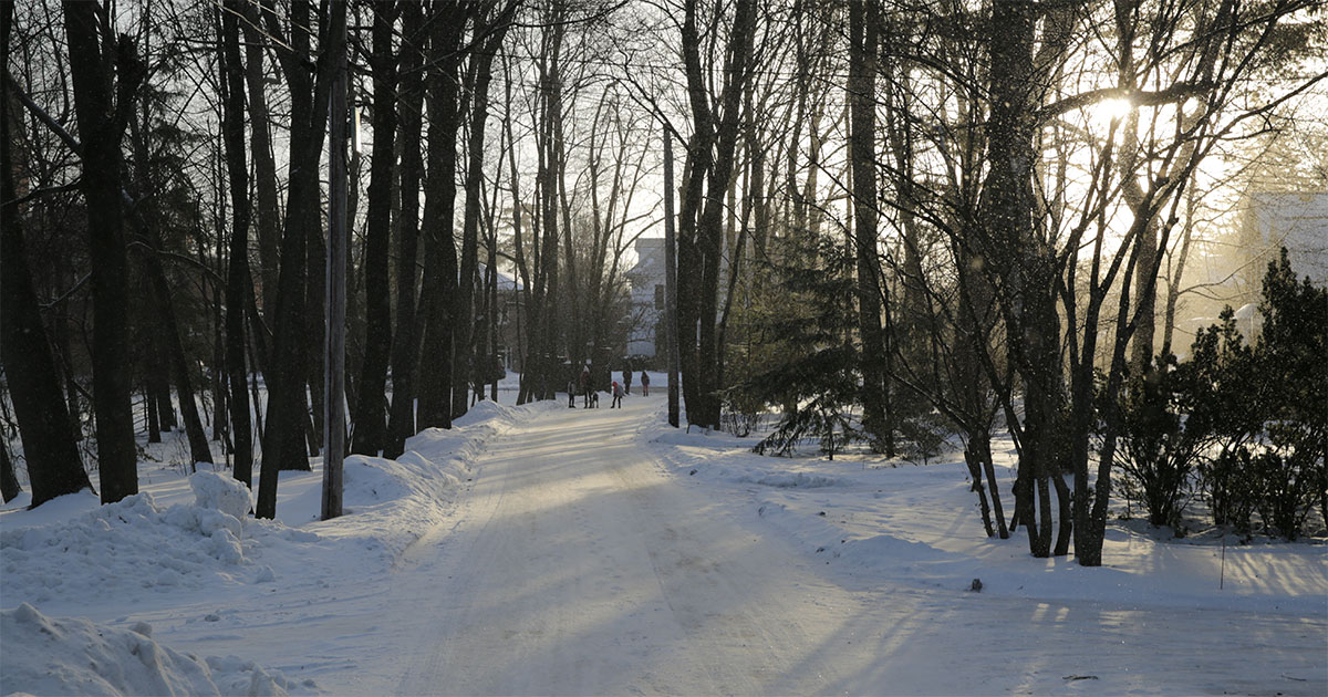 Image of a crisp and clear morning in the snow with kids at end of street